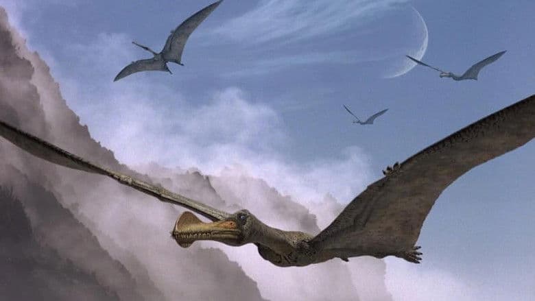 Giant of the Skies