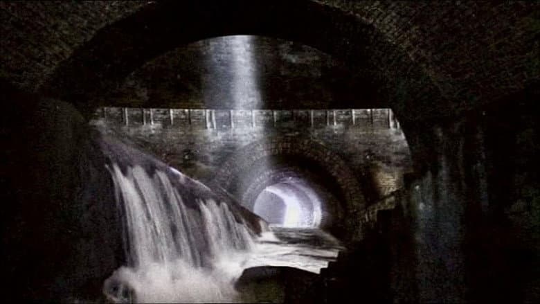 The Sewer King