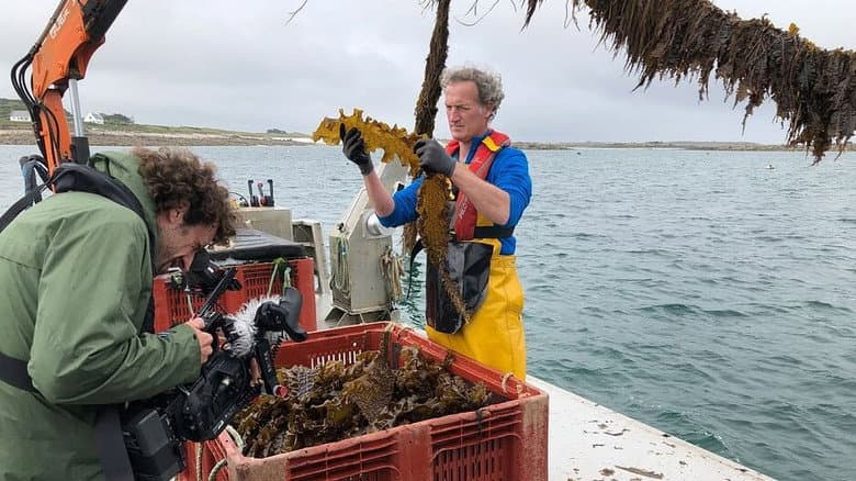 Could Algae Save the Planet?