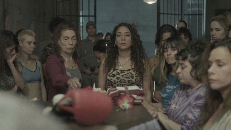 Episode 5