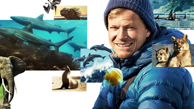 Animals Up Close with Bertie Gregory