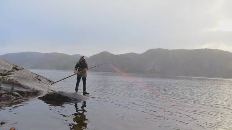 The primordial force of nature affects the participants