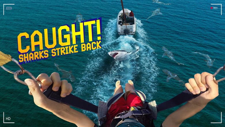 Caught! Sharks Strike Back