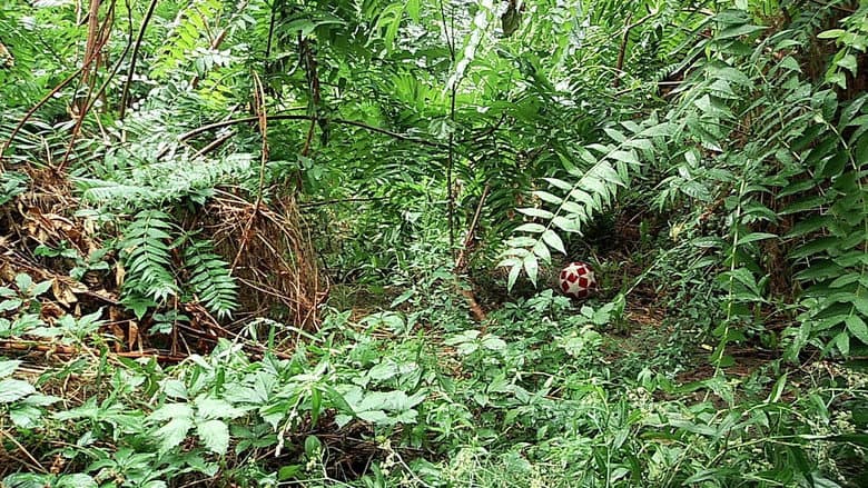 Three Streams