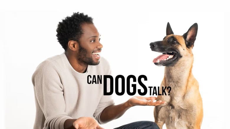 Can Dogs Talk?