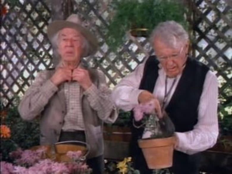 Marvin's Garden