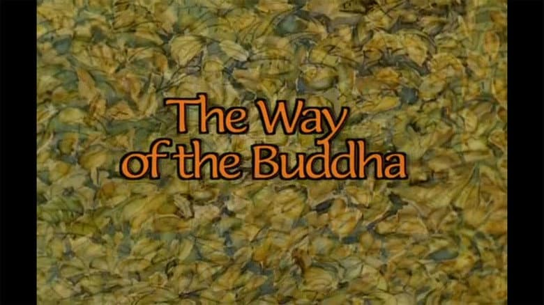 The Way of the Buddha
