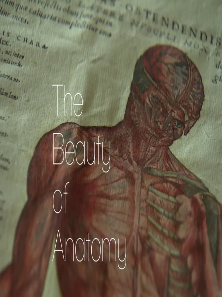 Gray's Anatomy