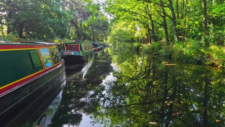 Byfleet to Odiham Castle