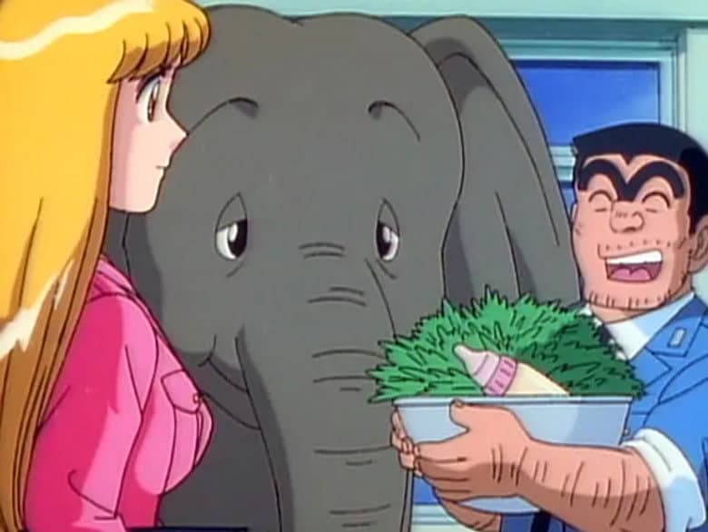 Trunk Buddies