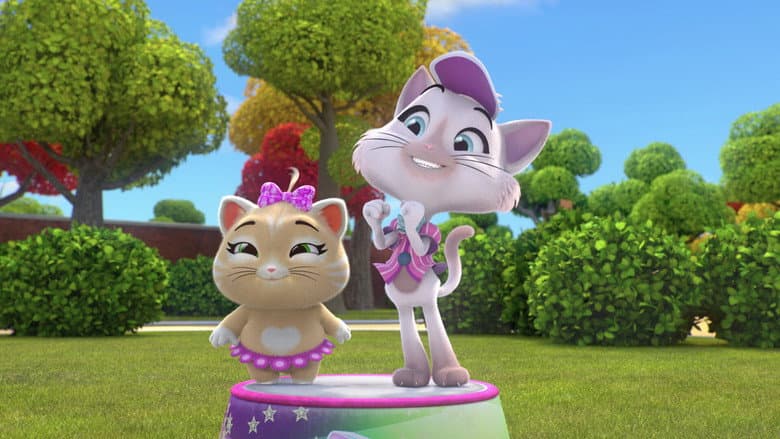 The Cat Color Game