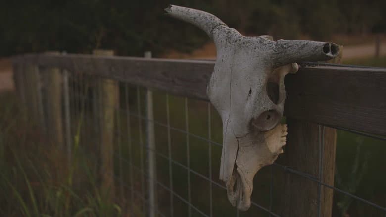Mystery in Cuero