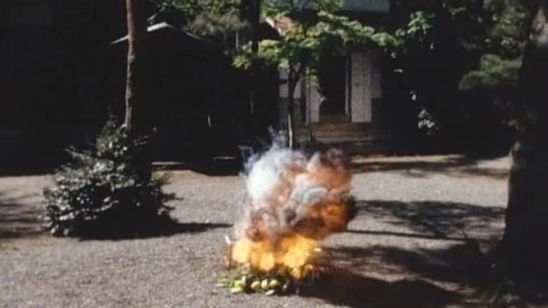 6 Targets!! The Flower Which Explodes