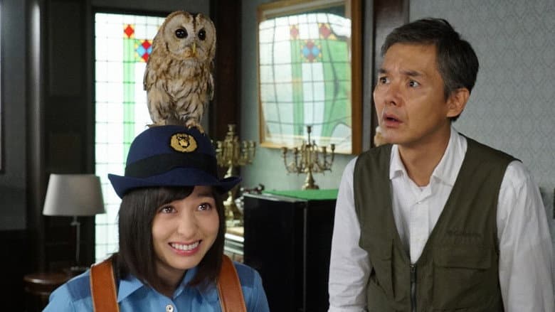 The Noisy Owl