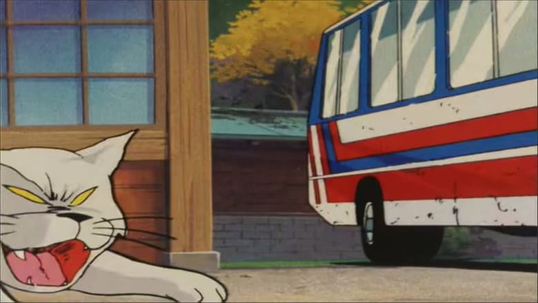 The Cat Wizard