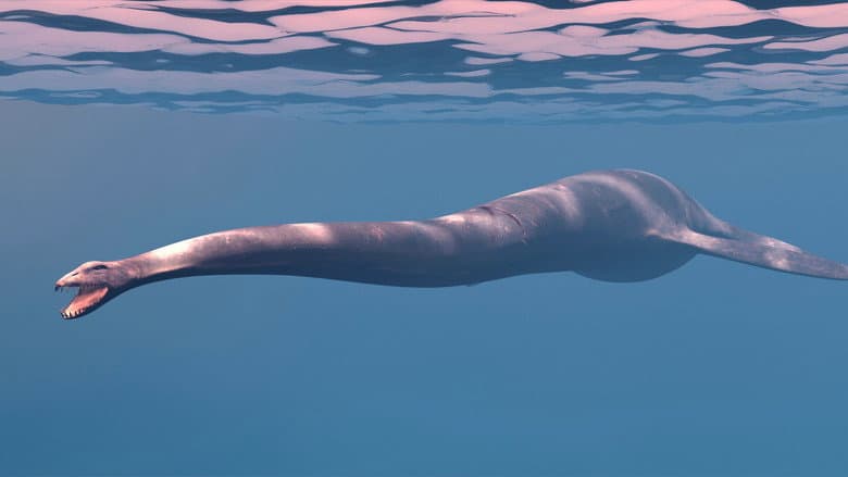 The Loch Ness Monster Part II