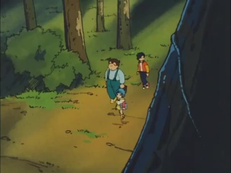 The forest where time sleeps
