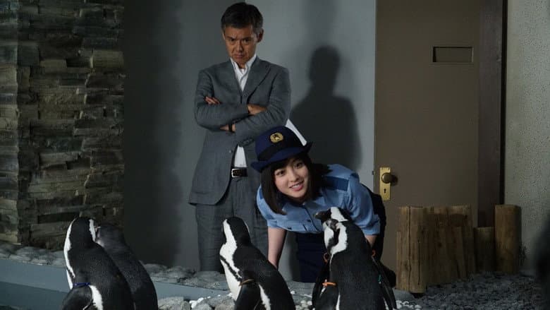 If Penguins Could Talk