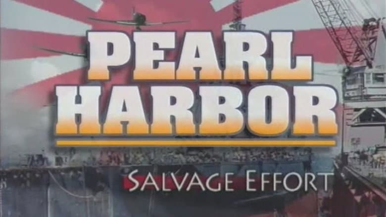 Salvage Efforts