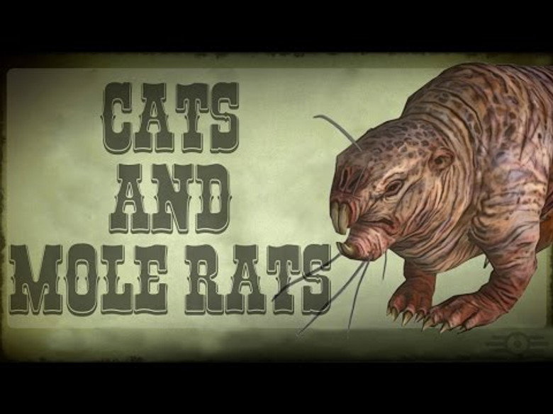 Cats and Mole Rats